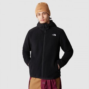The North Face Alpine Polartec® Fleece 200 Encapuchonné Jacket Noir Noir | TD4635917