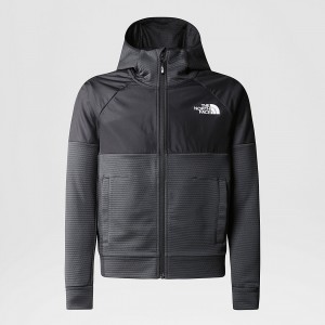 The North Face Mountain Athletics Full-Zip Hoodie Grise | CR8640351
