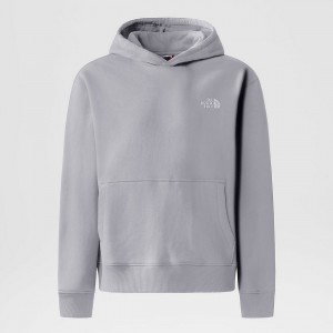 The North Face Oversized Hoodie Grise Clair | UB9560847